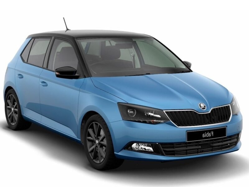 skfabia-2